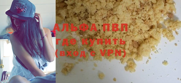 стаф Арсеньев