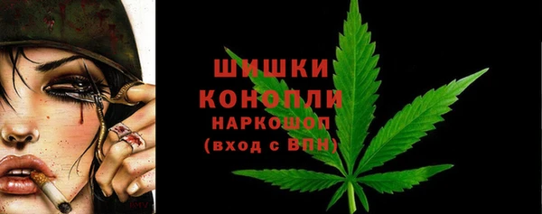стаф Арсеньев