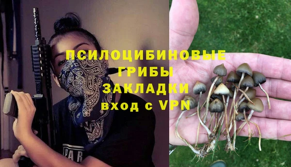 Альфа ПВП Аркадак