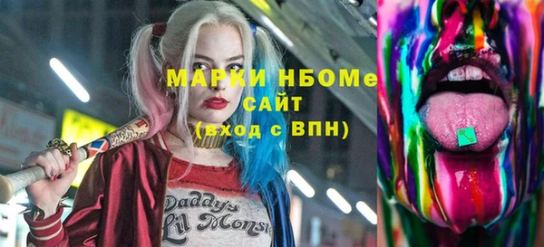 стаф Арсеньев