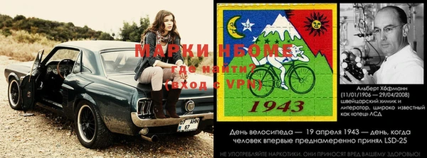 прущие грибы Армянск