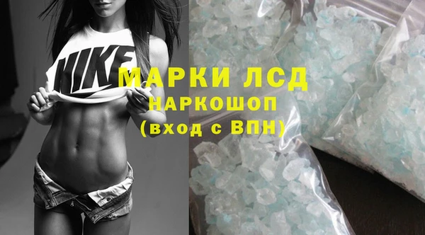 стаф Арсеньев