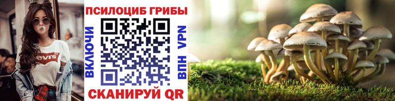 закладка Сарапул Галлюциногенные грибы Magic Shrooms
