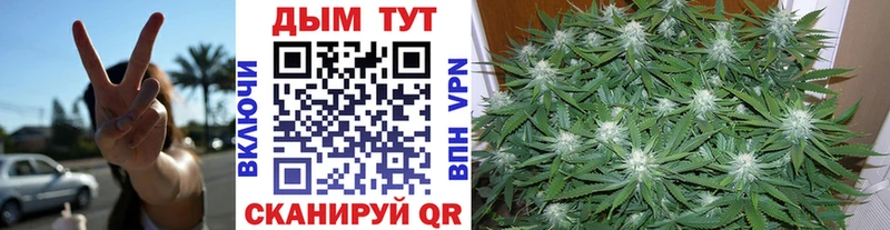 купить наркотик  Сарапул  Конопля конопля 